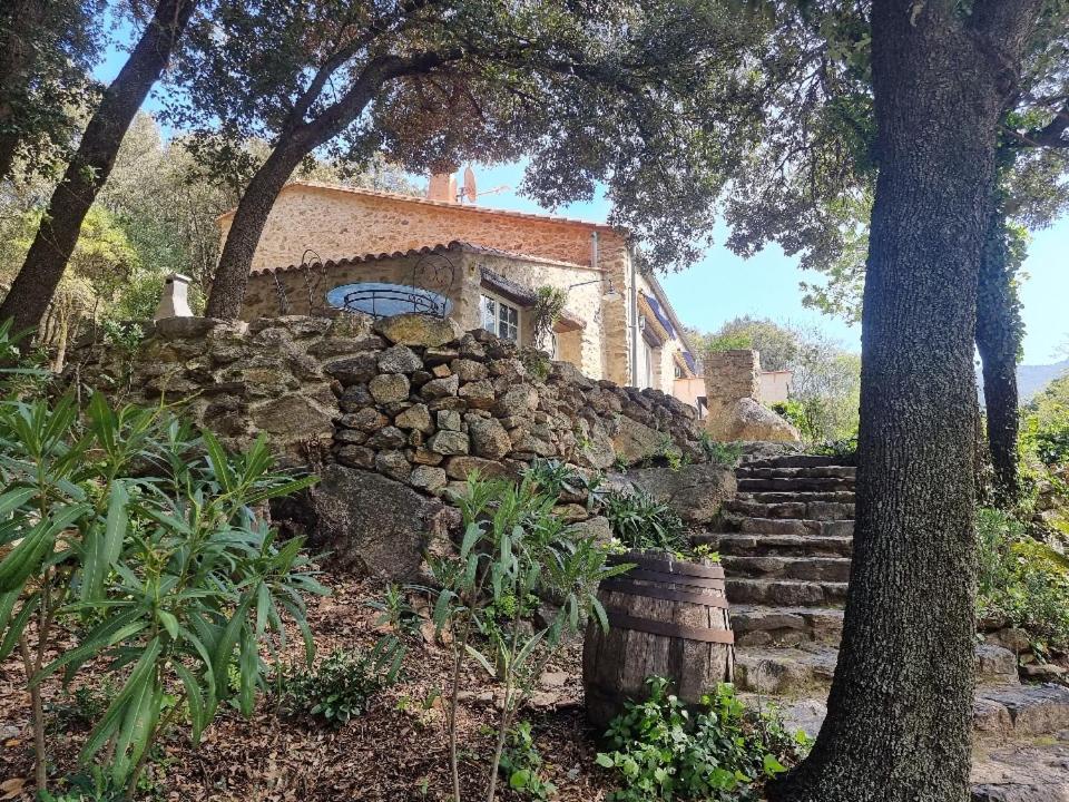 La Bergerie Villa Sorède Eksteriør billede