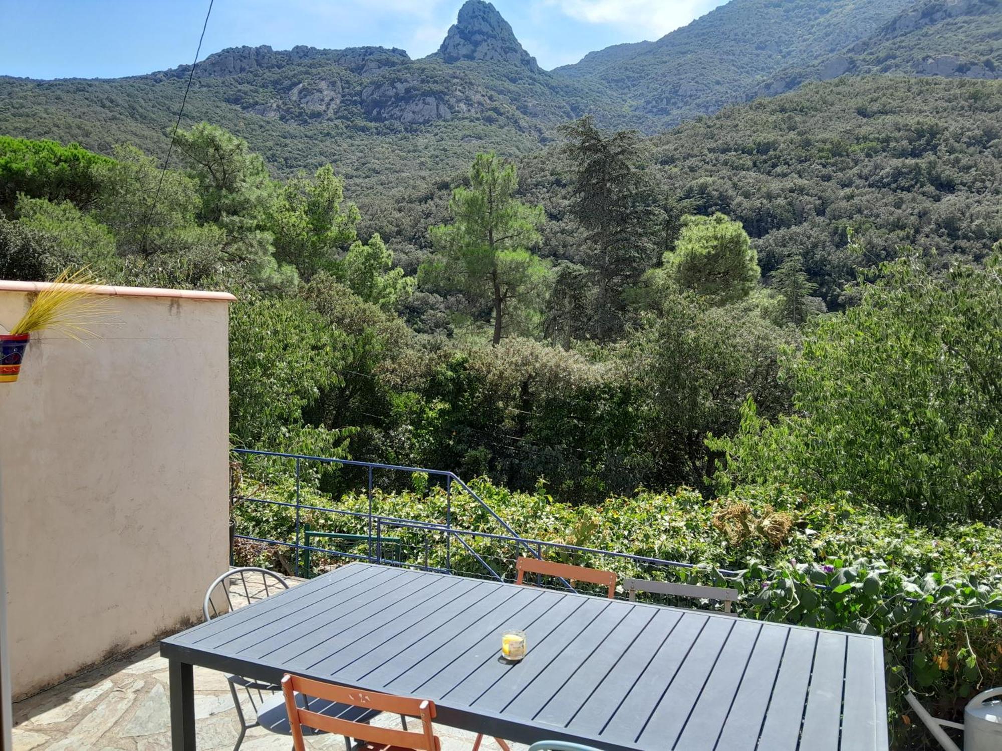 La Bergerie Villa Sorède Eksteriør billede